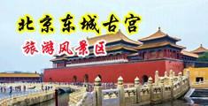被操内射视频中国北京-东城古宫旅游风景区